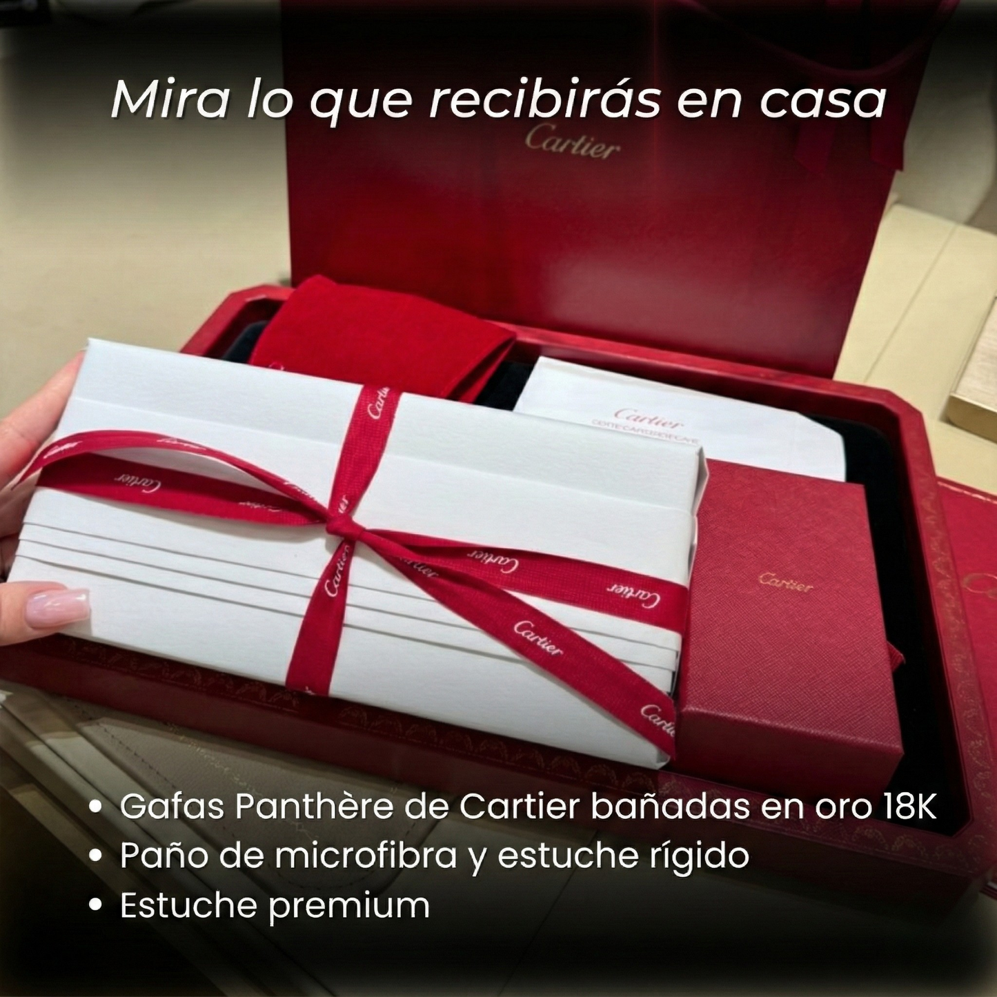 Gafas CTR Fotocromáticas